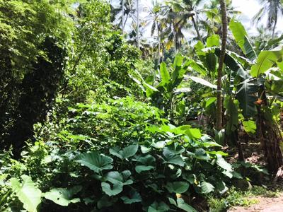 Image of 5227 Sq.ft Residential Plot / Land for sale in Vizhinjam, Thiruvananthapuram for Rs. 28800000