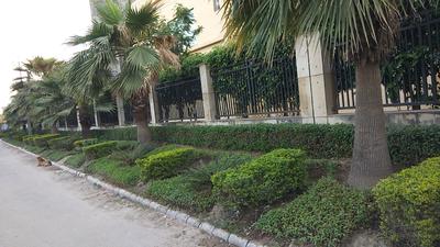 Image of 770 Sq.ft 2 BHK Independent House for sale in Gazipur, Zirakpur for Rs. 5000000