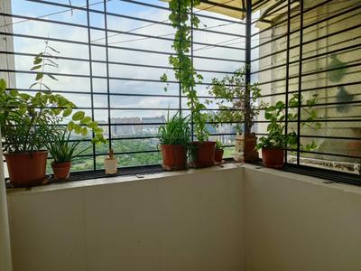 Balcony Image of Tina Sinha in Noida Extension, Greater Noida