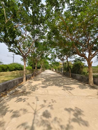 Dholera Upvan Residency Near Airport Main Image 1