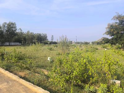 Image of 1500 Sq.ft Residential Plot / Land for sale in Hoskote, Bengaluru for Rs. 4200120