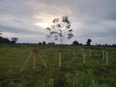 Image of 2000 Sq.ft Residential Plot / Land for sale in Haappy Home Mind Game, Deoli, Nagpur for Rs. 2800000