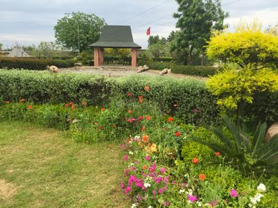 Image of 2560 Sq.ft 4 BHK Penthouse for rent in Millennium The Green County, Chohak Kallan Village, Jalandhar for Rs. 45000