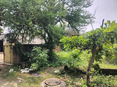 Cassia Fistula Estate Plot View 3