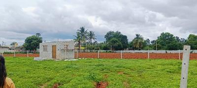 Devanahalli Plot View 3