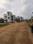 Swapnabhumi Internal Roads 1