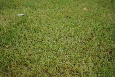 Image of 3478 Sq.ft Residential Plot / Land for sale in Kachipuram Town, Kanchipuram for Rs. 4500000
