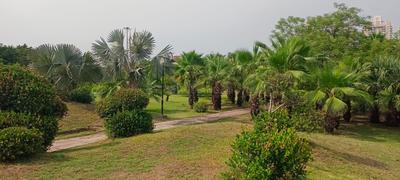 Image of 450 Sq.ft Residential Plot / Land for sale in Sector 108, Noida for Rs. 140000000