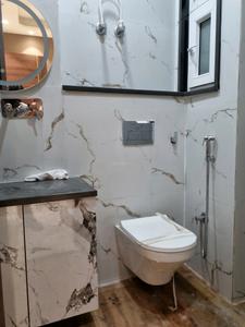 Common Bathroom Image of 600 Sq.ft 2 BHK Apartment / Flat for sale in Nawada New Delhi for Rs. 3910000