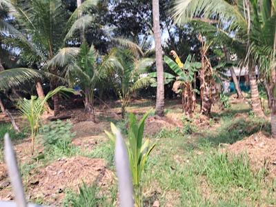 Image of 16115 Sq.ft Residential Plot / Land for sale in Vyttila, Kochi for Rs. 81400000