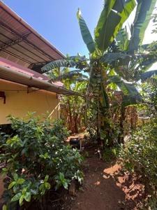 Image of 1200 Sq.ft 3 BHK Independent House for sale in Ayyanthole, Thrissur for Rs. 8800000