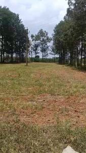 Image of 91476 Sq.ft Residential Plot / Land for sale in Nandi Hills, Chikballapur District for Rs. 126000000