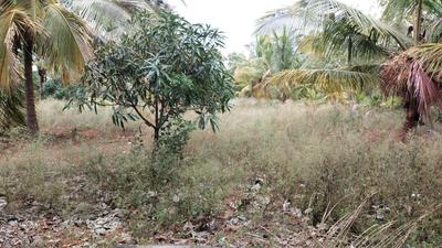Image of 67518 Sq.ft Residential Plot / Land for sale in Harohalli, Ramnagara, Bengaluru for Rs. 43400000