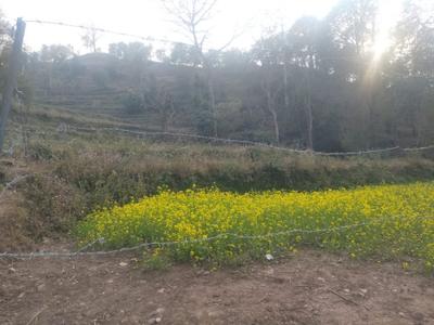Image of 9000 Sq.ft Residential Plot / Land for sale in Morni, Panchkula for Rs. 3000000