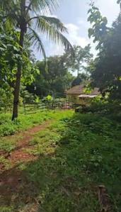 Residential plot in Corgao Plot View 3