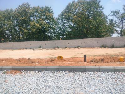Koppa Gate Plot View 2