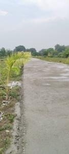 Image of 1800 Sq.ft Residential Plot / Land for sale in Bhauwala, Dehradun for Rs. 5700000