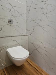 Common Bathroom Image of 2250 Sq.ft 4 BHK Apartment / Flat for sale in Horizon Highgroves, Mundhwa Pune for Rs. 28200000
