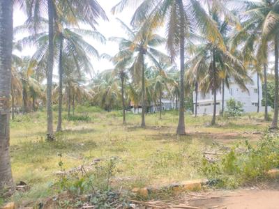 JR Coconest Prime Plot View 2