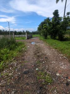 Nest Valley Internal Roads 3