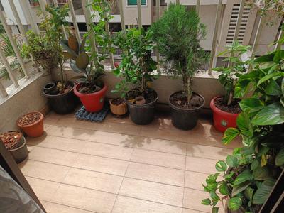 Balcony Image of 1100 Sq.ft 2 BHK Apartment / Flat for sale in Venkatesh Oxy Galaxy, Kesnand Pune for Rs. 4251000