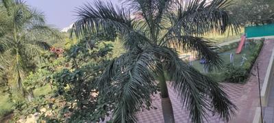 Image of 1200 Sq.ft 3 BHK Apartment / Flat for rent in Karelibagh, Vadodara for Rs. 14500