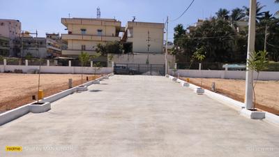 Plot View
