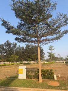 Residential Plot