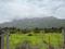 Palaspa Main Image 1