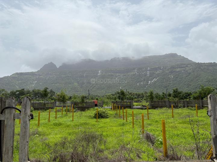 Palaspa Main Image 1