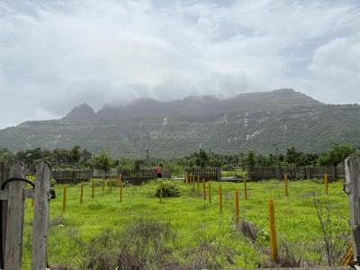 Palaspa Plot View 1