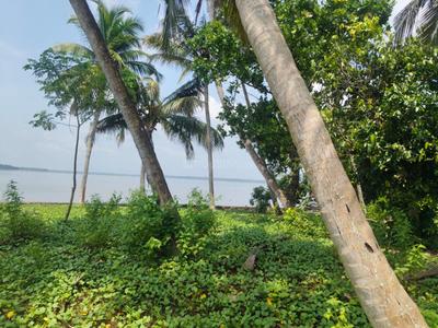 keralarealty Plot View 2