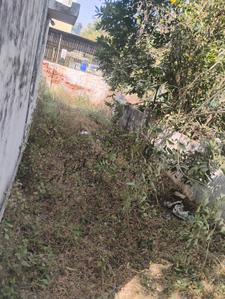 Image of 2970 Sq.ft 3 BHK Independent House for sale in Sector 23, Gandhinagar for Rs. 60000000