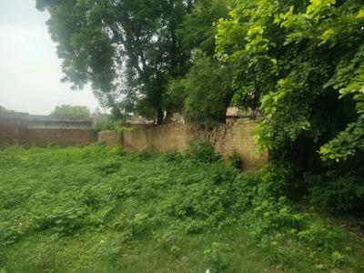 Block D Plot View 2