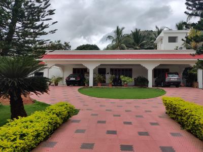 Image of May flower in Seelanaickenpatti, Jerugumalai R.F.