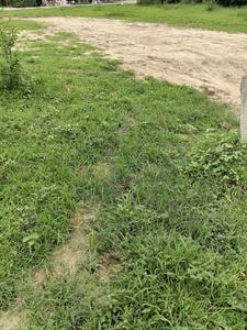 Nigam Nagar Plot View 1