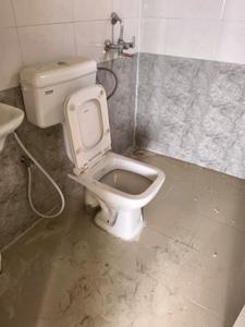 Common Bathroom Image of 1050 Sq.ft 3 BHK Apartment / Flat for sale in Emaar Gurgaon Greens, Sector 102 Gurgaon for Rs. 7500000