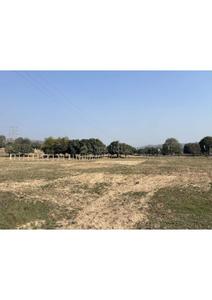 Image of 5445 Sq.ft Residential Plot / Land for sale in Mohali Village, Mohali for Rs. 24200000