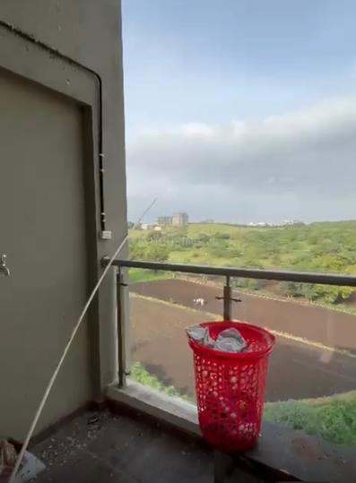 Majestique Euriska Main Image 1