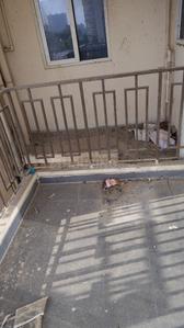 Image of 800 Sq.ft 2 BHK Apartment / Flat for sale in Signature Global Roselia 2, Sector 95A, Gurgaon for Rs. 5600000