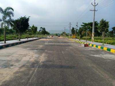 Residential Plot