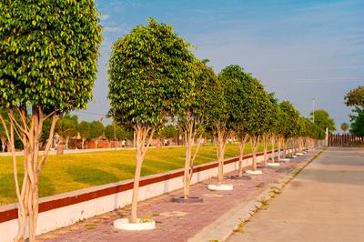 Image of 800 Sq.ft Residential Plot / Land for sale in Sarthak Singapore Green View Premium Phase 1, Talawali Chanda, Indore for Rs. 3100000