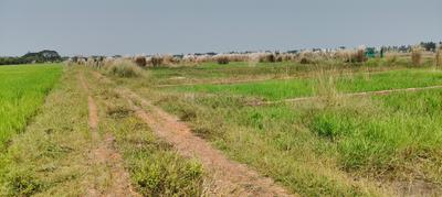 Image of 1620 Sq.ft Residential Plot / Land for sale in Siula, Bhubaneswar for Rs. 1680000