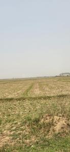 Image of 57600 Sq.ft Residential Plot / Land for sale in Santiniketan, Bolpur-Santiniketan for Rs. 40000000