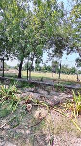 Image of 1831 Sq.ft Residential Plot / Land for sale in Kundal, Mehsana for Rs. 12500000