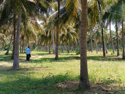 Image of 358499 Sq.ft 3 BHK Farm House for sale in Gudiyatham, Vellore for Rs. 150000000