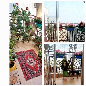 Balcony Image of 1325 Sq.ft 3 BHK Apartment / Flat for rent in JM Aroma, Sector 75 Noida for Rs. 45000