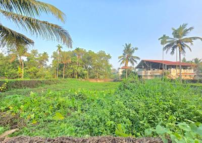 Image of 4350 Sq.ft Residential Plot / Land for sale in Aluva, Kochi for Rs. 5500000