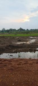 Image of 2200 Sq.ft Residential Plot / Land for sale in Khamtarai, Bilaspur for Rs. 2500000