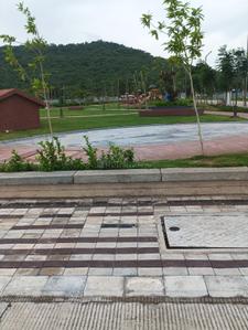 Silver Springs Phase 2 Plot View 2